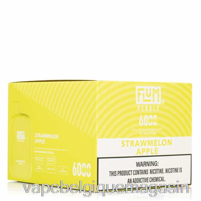 Vape Belgique [10-pack] Flum Pebble 6000 Jetable
